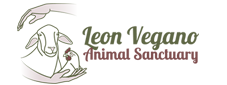 Leon Vegano Animal Sanctuary